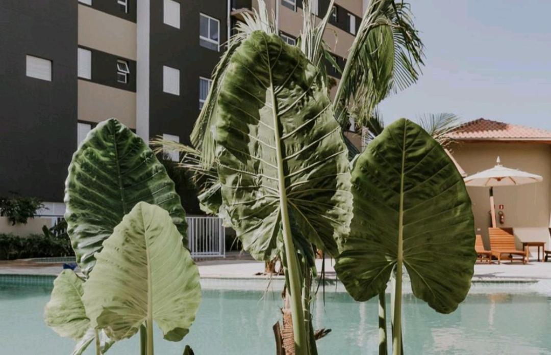 Jardim Das Palmeiras II Home Resort Ubatuba Exterior photo